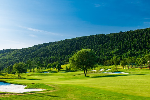 green, golf, blue sky