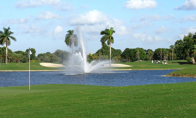 miami, florida, palms