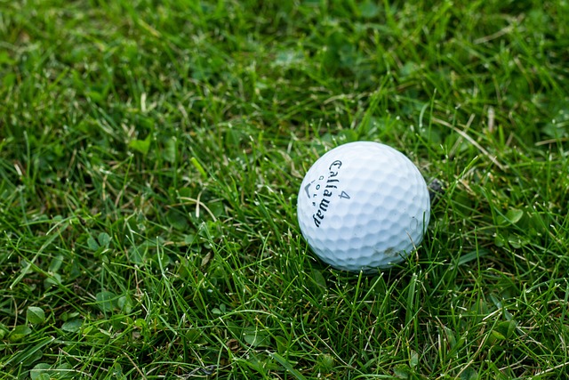 golf, nature, golf ball