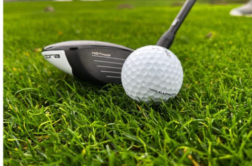 Cobra Aerojet Fairway, Oregon